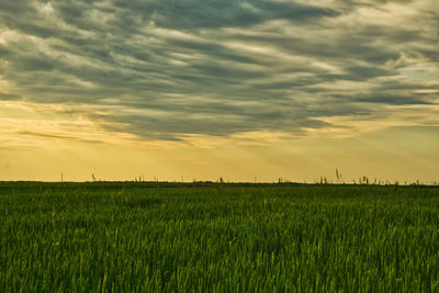 sky