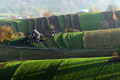 Scenic view of agricultural field