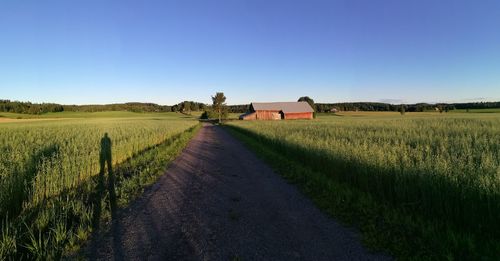 Dirt road on farm against clear blue sky