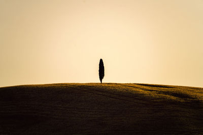 Tree silhouette in tuscany italy during sunset taken in summer 2022