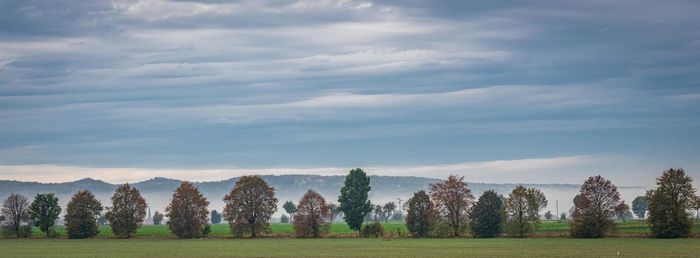 Panoramic shot of trees on field against sky