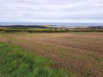 Scenic view of agricultural field against sky