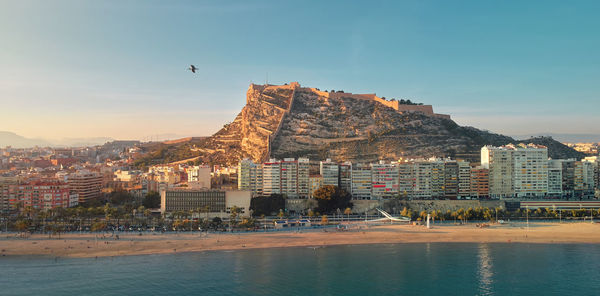 Birds flying over sea and buildings in city