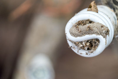 High angle view of cigarette in container