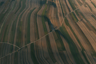 Scenic view of agricultural field