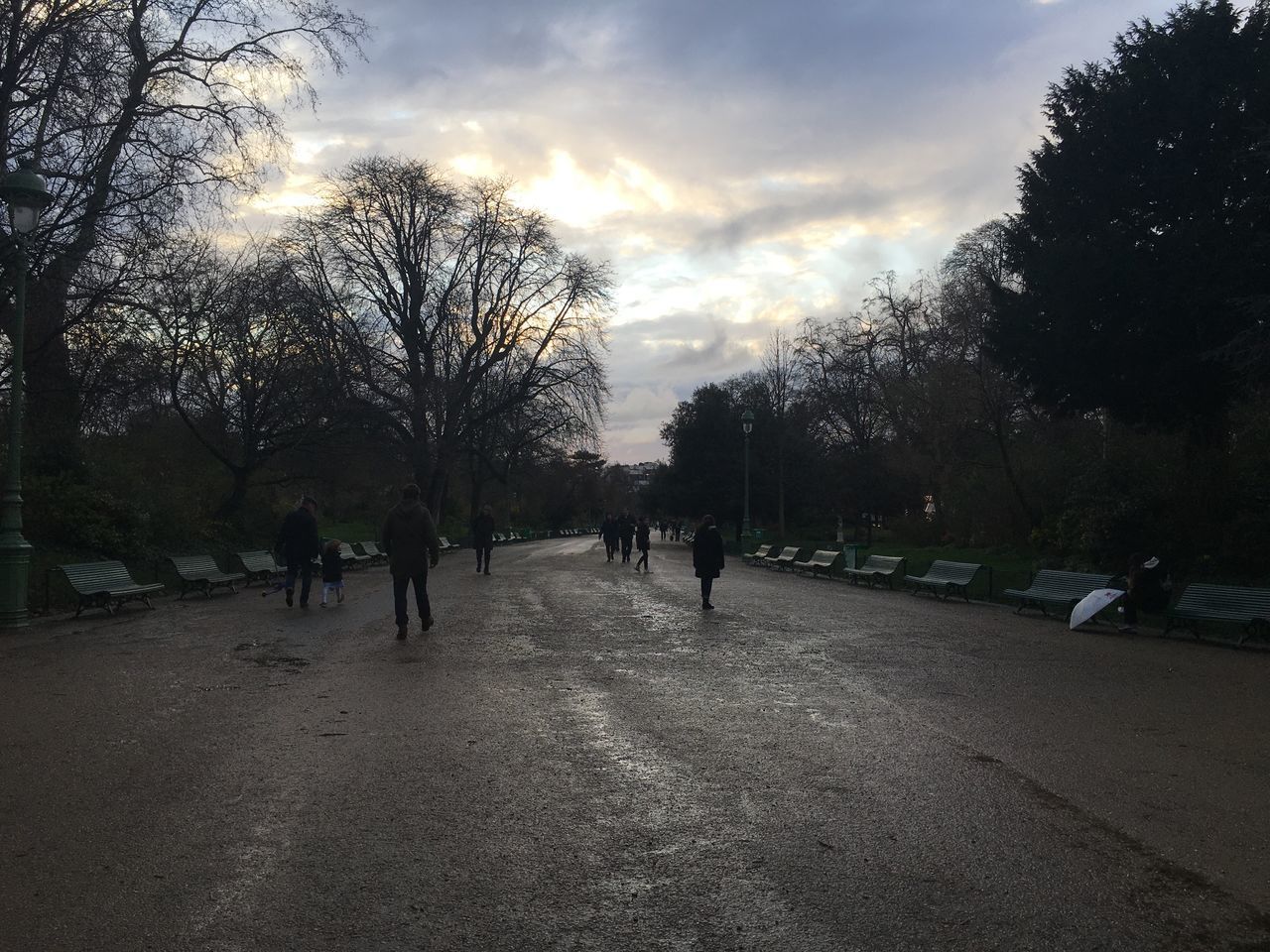 PEOPLE WALKING ON ROAD BY BARE TREES IN CITY