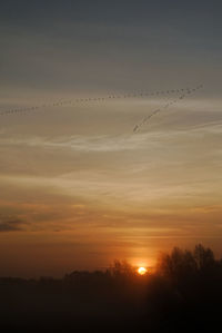 Silhouette birds flying in sky at sunset