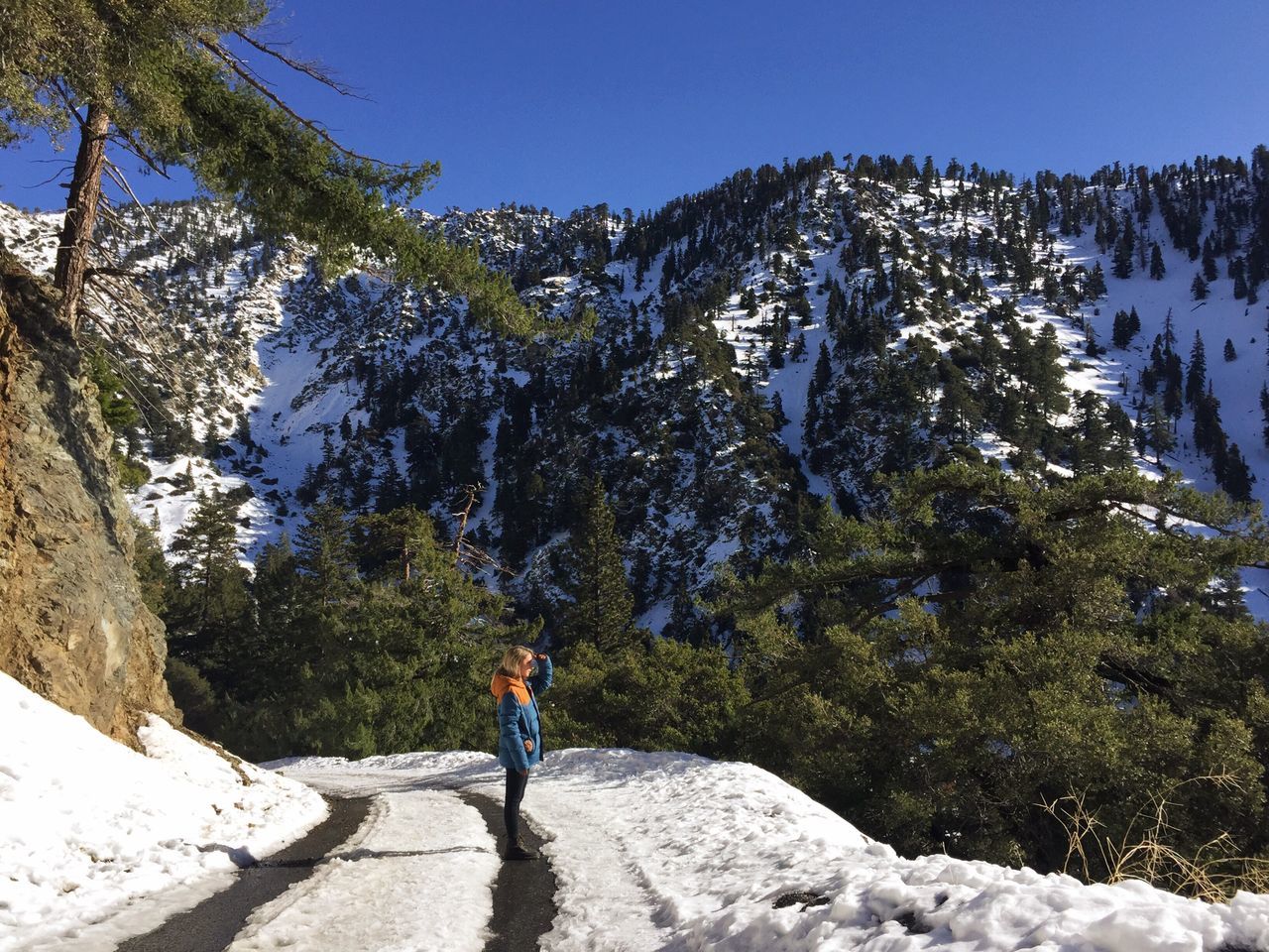 one person, real people, tree, full length, nature, beauty in nature, day, leisure activity, lifestyles, outdoors, standing, men, growth, snow, winter, scenics, cold temperature, sky, one man only