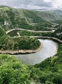 Scenic view of river amidst trees against sky