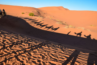 Aerial view of desert