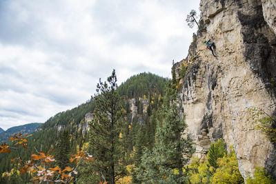 A woman rock climbing on a crisp fall day.