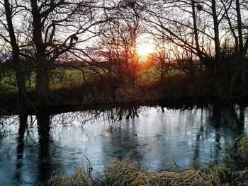 Scenic view of lake in forest during sunset