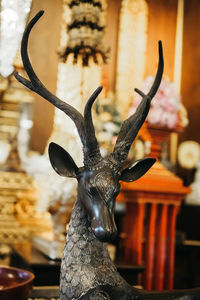 Close-up of deer statue
