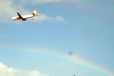 Low angle view of birds flying in sky