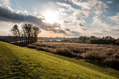 Scenic view of agricultural field against sky during sunset