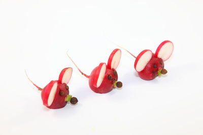 High angle view of tomatoes against white background