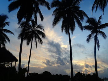 Low angle view of silhouette coconut palm trees against sky during sunset