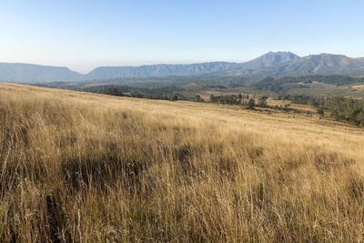 Scenic view of field against clear sky