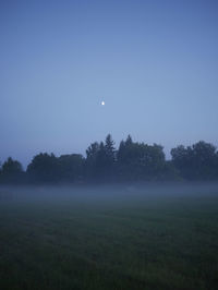 Scenic view of field against clear sky at night