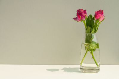 Close-up of flower vase on table against white background