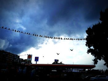 Low angle view of birds flying against cloudy sky