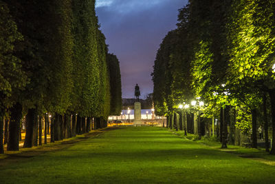 Trees in park against sky at night