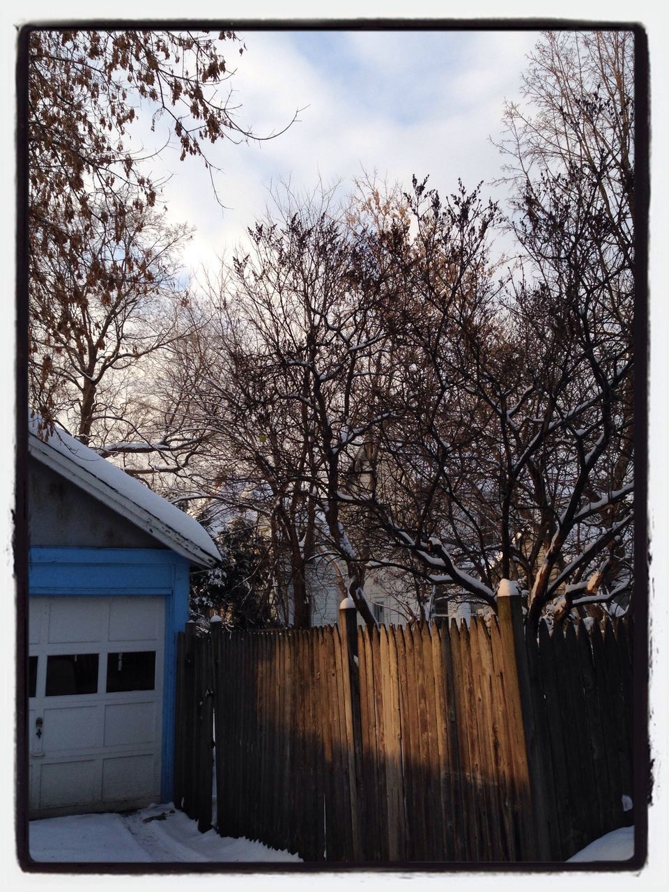 transfer print, tree, auto post production filter, sky, bare tree, built structure, branch, building exterior, architecture, wood - material, house, nature, growth, day, no people, outdoors, cloud - sky, tranquility, fence, cloud