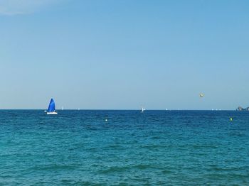 Sailboat sailing in sea against clear sky