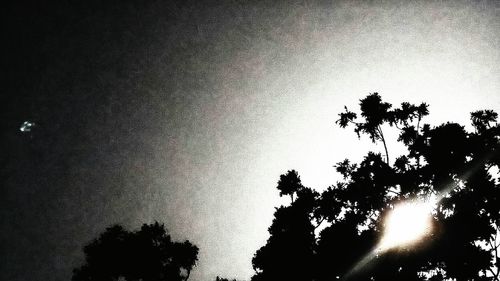 Low angle view of silhouette trees against sky