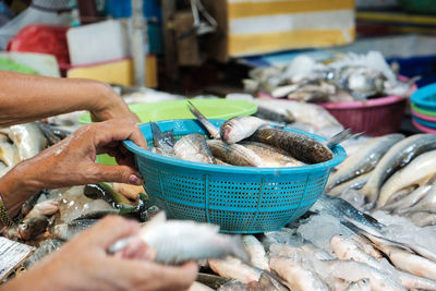 Man holding fish at market