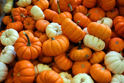 Full frame shot of pumpkins at market