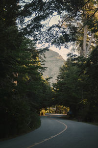 Road by trees against mountain