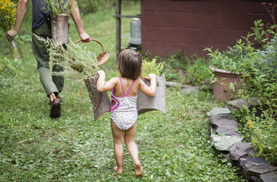 Rear view of girl with father holding wooden basket in backyard