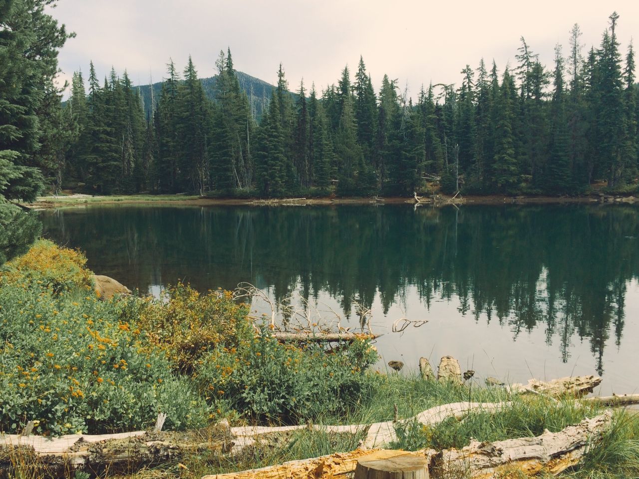 Lava lake