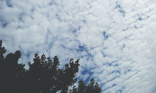 Low angle view of trees against cloudy sky