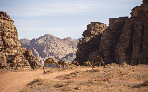 Scenic view of rock formations on landscape against sky