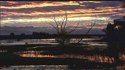 Scenic view of lake during sunset