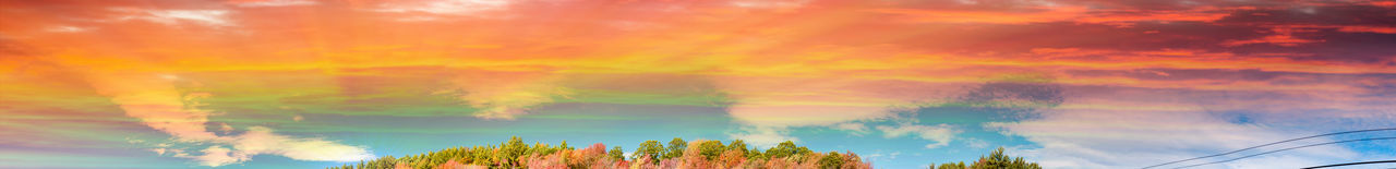 Rainbow over trees against sky during sunset