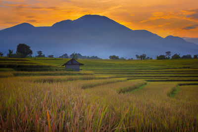 Scenic view of field against mountains during sunset