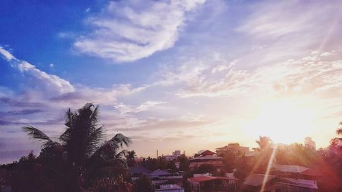 Trees and buildings against sky during sunset