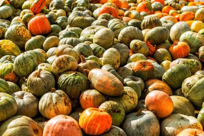 Full frame shot of pumpkins at market