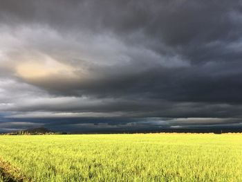 Scenic view of field against cloudy sky