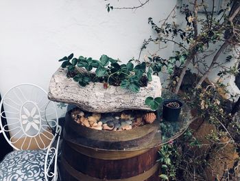 High angle view of potted plants in yard