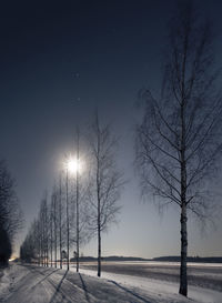 Trees on beach against sky at night