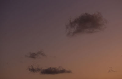 Low angle view of silhouette trees against sky during sunset