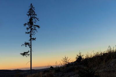 Silhouette trees on field against clear sky at sunset