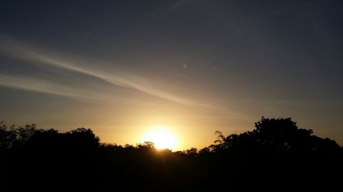 Silhouette trees against sky during sunset