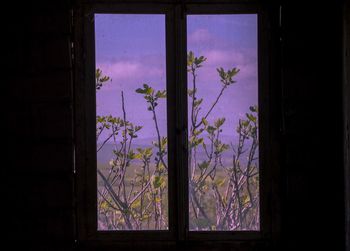 Close-up of window against sky