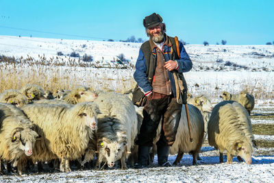 Full length of man with sheep standing on field against clear sky