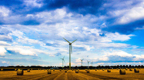 Scenic view of rural landscape